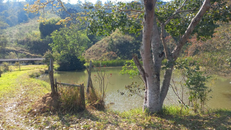 Imagem Fazenda à Venda, 108.000 m² em Centro - Joanópolis Imagem Fazenda à Venda, 108.000 m² em Centro - Joanópolis