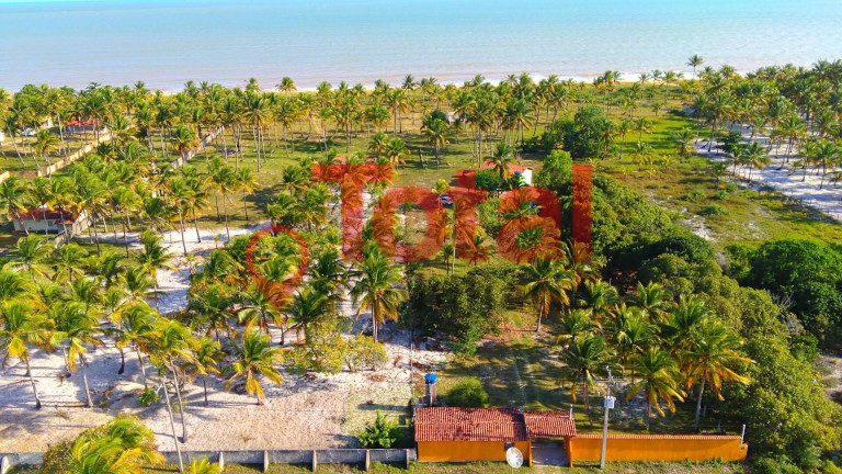 Terreno à Venda, 6.000 m² em Nova Viçosa