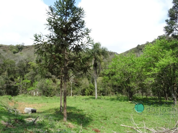 Imagem Imóvel à Venda, 120.000 m² em Zona Rural - Alfredo Wagner Imagem Imóvel à Venda, 120.000 m² em Zona Rural - Alfredo Wagner