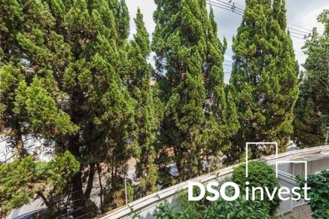 Imagem Casa com 3 Quartos à Venda,  em Jardim Paulistano - São Paulo