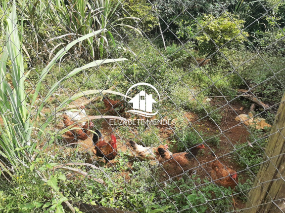 Imagem Fazenda à Venda, 220 m² em Parque Das Varinhas - Mogi Das Cruzes Imagem Fazenda à Venda, 220 m² em Parque Das Varinhas - Mogi Das Cruzes