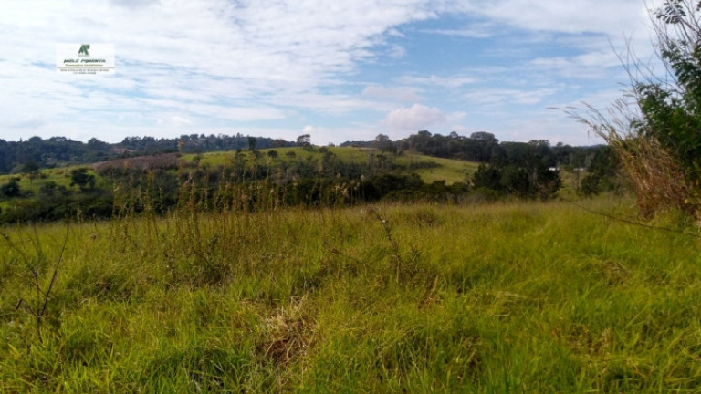 Imagem Terreno à Venda, 235.000 m² em Sorocamirim - São Roque Imagem Terreno à Venda, 235.000 m² em Sorocamirim - São Roque