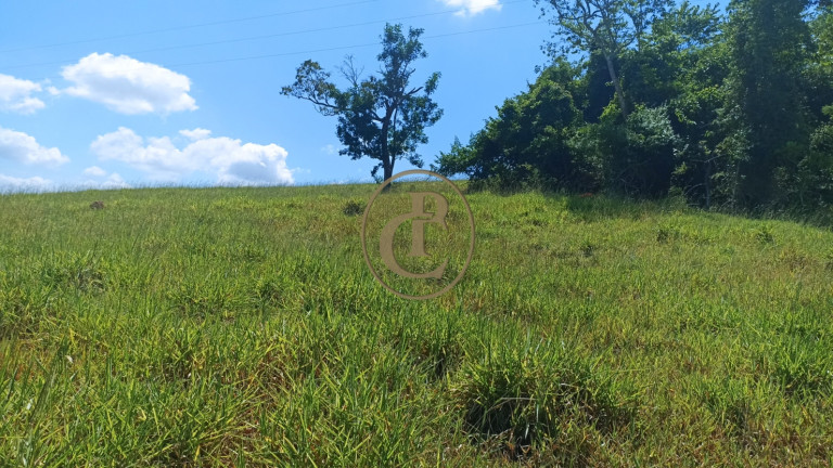 Imagem Chácara com 2 Quartos à Venda, 100 m² em Porto - Paraibuna Imagem Chácara com 2 Quartos à Venda, 100 m² em Porto - Paraibuna