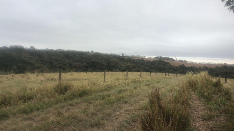 Imagem Fazenda à Venda, 59 m² em Rural - São Miguel Arcanjo Imagem Fazenda à Venda, 59 m² em Rural - São Miguel Arcanjo