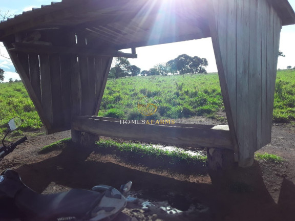 Imagem Imóvel com 3 Quartos à Venda, 2.770 m² em Zona Rural - Barra Do Bugres Imagem Imóvel com 3 Quartos à Venda, 2.770 m² em Zona Rural - Barra Do Bugres