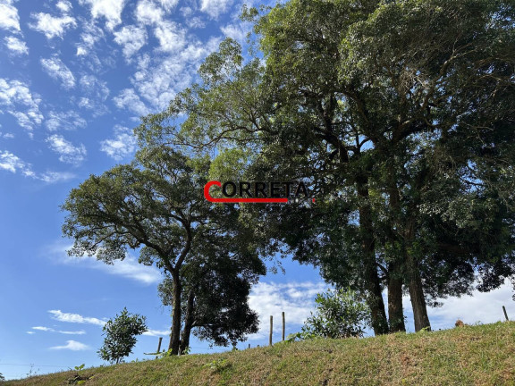 Imagem Casa com 3 Quartos à Venda, 1.000 m² em Cupim - Ibiúna Imagem Casa com 3 Quartos à Venda, 1.000 m² em Cupim - Ibiúna