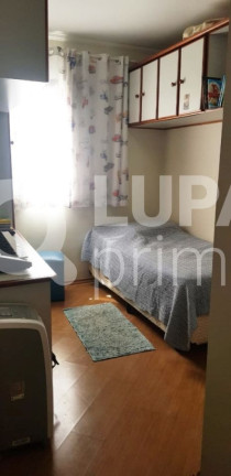Imagem Apartamento com 3 Quartos à Venda, 80 m² em Tatuapé - São Paulo Imagem Apartamento com 3 Quartos à Venda, 80 m² em Tatuapé - São Paulo