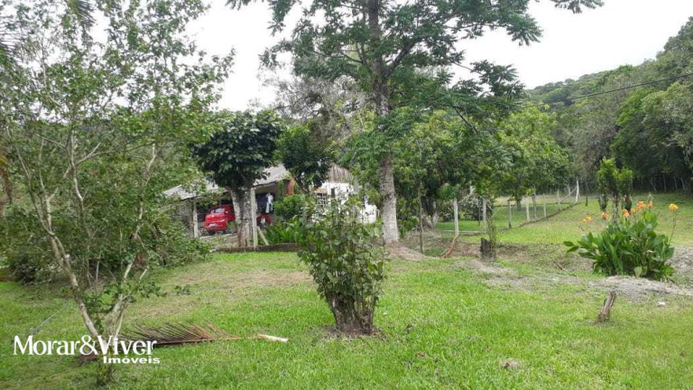 Imagem Chácara com 3 Quartos à Venda, 84.750 m² em Alexandra - Paranaguá