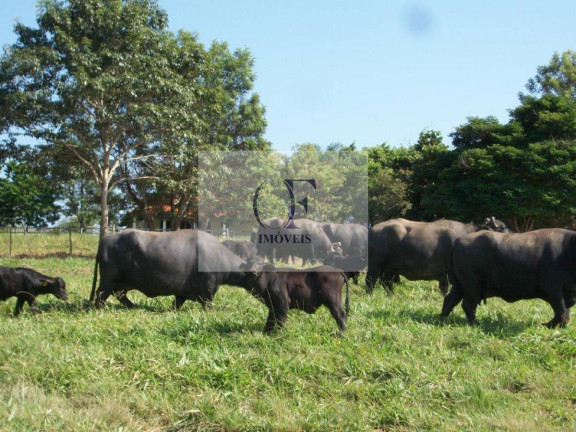 Imagem Fazenda à Venda, 297 m² em Rural - Santana Do Itararé Imagem Fazenda à Venda, 297 m² em Rural - Santana Do Itararé