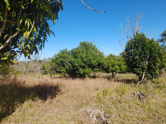 Imagem Chácara com 3 Quartos à Venda, 11.250 m² em Terras Do Sol - Itapetininga Imagem Chácara com 3 Quartos à Venda, 11.250 m² em Terras Do Sol - Itapetininga