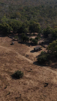Imagem Fazenda à Venda, em Sinop Imagem Fazenda à Venda, em Sinop