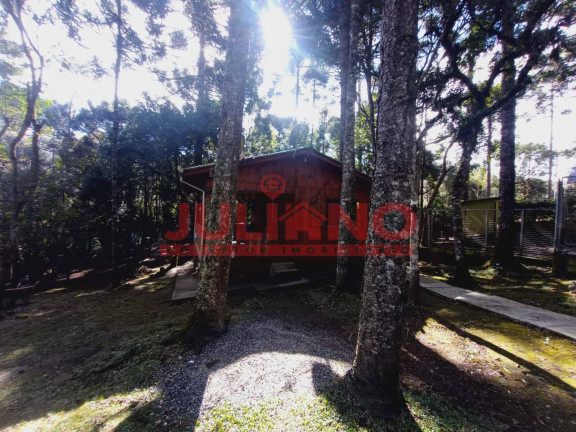 Imagem Chácara com 2 Quartos à Venda, 18.000 m² em Rio Vermelho - São Bento Do Sul Imagem Chácara com 2 Quartos à Venda, 18.000 m² em Rio Vermelho - São Bento Do Sul