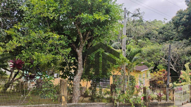 Imagem Chácara com 3 Quartos à Venda, 4.500 m² em Centro - Igarassu