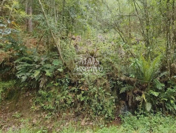 Imagem Imóvel à Venda, 50 m² em Centro - São Francisco De Paula Imagem Imóvel à Venda, 50 m² em Centro - São Francisco De Paula