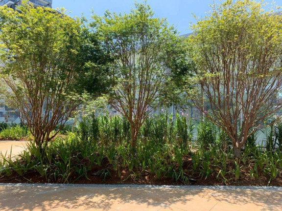 Imagem Ponto Comercial à Venda, 46 m² em Pinheiros - São Paulo Imagem Ponto Comercial à Venda, 46 m² em Pinheiros - São Paulo