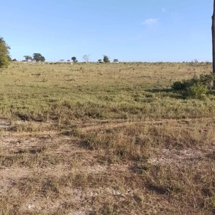 Imagem Fazenda à Venda, 189 m² em Zona Rural - Canabrava Do Norte Imagem Fazenda à Venda, 189 m² em Zona Rural - Canabrava Do Norte