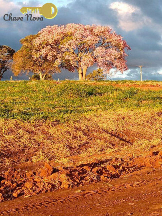 Imagem Terreno em Condomínio à Venda, 1.000 m² em Azevedo - Joanópolis Imagem Terreno em Condomínio à Venda, 1.000 m² em Azevedo - Joanópolis