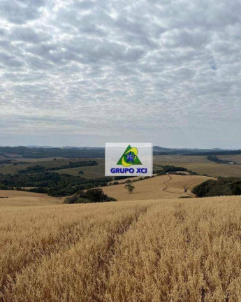 Imagem Fazenda à Venda, 3.388.000 m² em Pouso Alegre - Pouso Alegre Imagem Fazenda à Venda, 3.388.000 m² em Pouso Alegre - Pouso Alegre