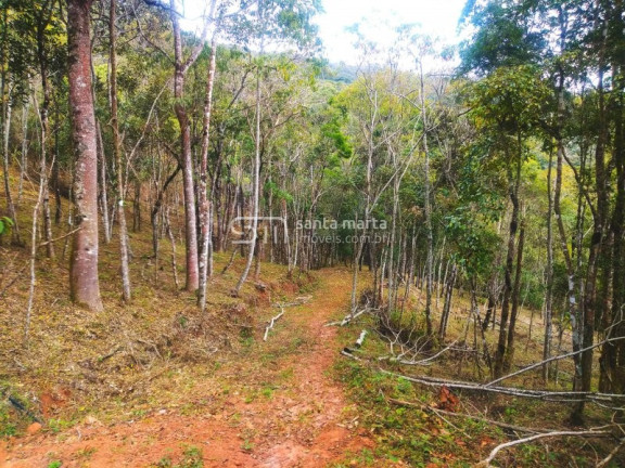 Imagem Imóvel com 1 Quarto à Venda, 5.000 m² em Casa Montanha - Delfim Moreira