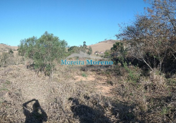 Imagem Imóvel com 2 Quartos à Venda, 7.000 m² em Zona Rural - Borda Da Mata