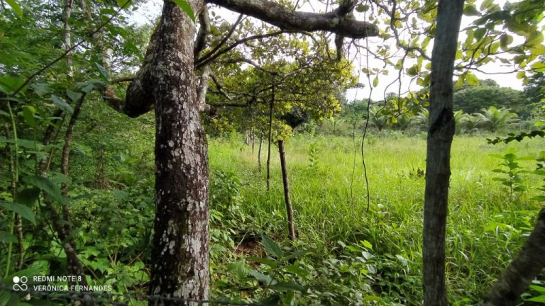 Imagem Terreno à Venda, 5.000 m² em Aldeia Dos Camarás - Camaragibe Imagem Terreno à Venda, 5.000 m² em Aldeia Dos Camarás - Camaragibe