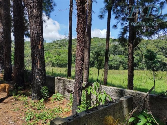 Imagem Chácara com 3 Quartos à Venda, 151.000 m² em Terra Preta - Mairiporã Imagem Chácara com 3 Quartos à Venda, 151.000 m² em Terra Preta - Mairiporã