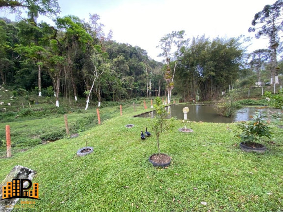 Imagem Imóvel com 4 Quartos à Venda, 490 m² em Bairro Dos Messias - Miracatu