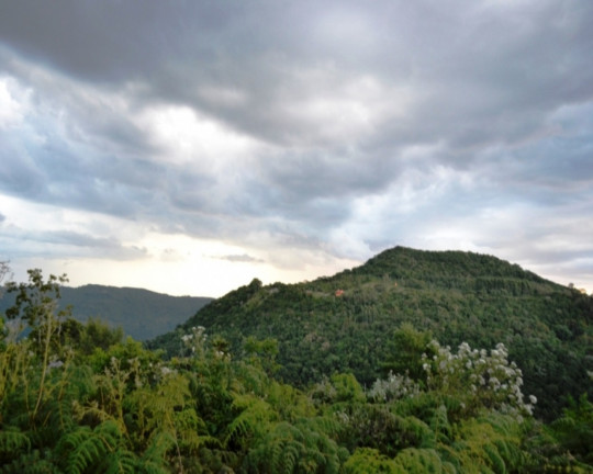 Imagem Imóvel à Venda, em Vila Germânia - Nova Petrópolis Imagem Imóvel à Venda, em Vila Germânia - Nova Petrópolis