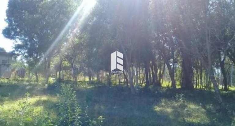 Imagem Terreno à Venda, 2.000 m² em Etelvina - Itaara Imagem Terreno à Venda, 2.000 m² em Etelvina - Itaara