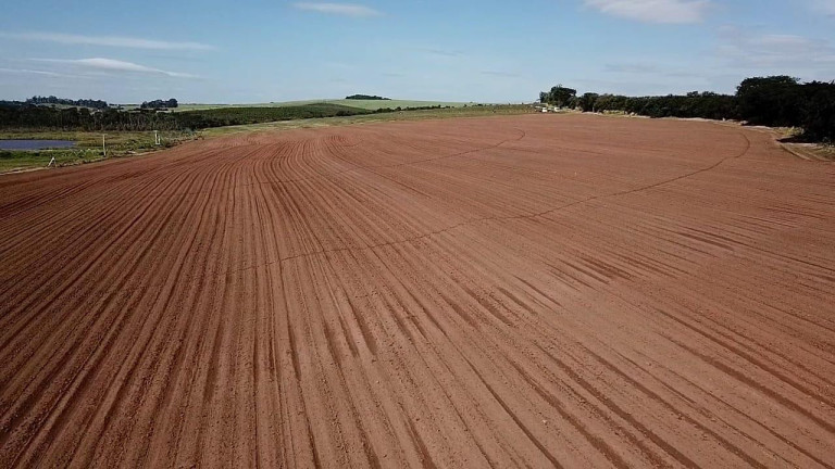 Imagem Fazenda à Venda, 100 m² em Zona Rural - Casa Branca Imagem Fazenda à Venda, 100 m² em Zona Rural - Casa Branca