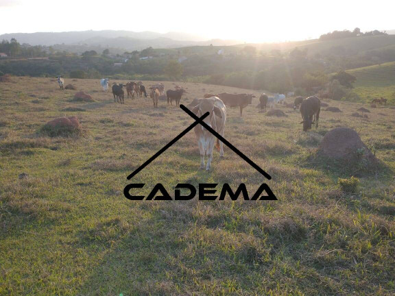 Imagem Chácara à Venda, 12 m² em Zona Rural - Socorro