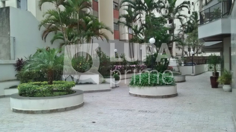 Imagem Apartamento com 4 Quartos à Venda, 160 m² em Jardim São Paulo - São Paulo Imagem Apartamento com 4 Quartos à Venda, 160 m² em Jardim São Paulo - São Paulo