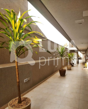 Imagem Apartamento com 2 Quartos à Venda, 38 m² em Vila Nova Mazzei - São Paulo