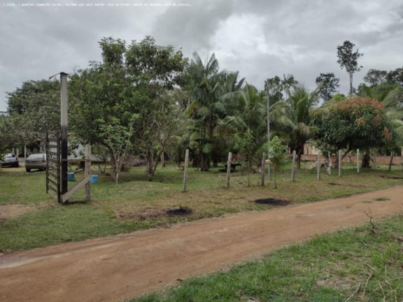 Imagem Chácara à Venda, 5.000 m² em Areia Branca - Porto Velho Imagem Chácara à Venda, 5.000 m² em Areia Branca - Porto Velho