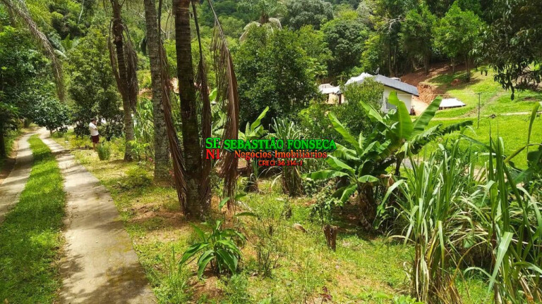 Imagem Chácara com 3 Quartos à Venda, 5.000 m² em Canaã Ll - Jambeiro Imagem Chácara com 3 Quartos à Venda, 5.000 m² em Canaã Ll - Jambeiro