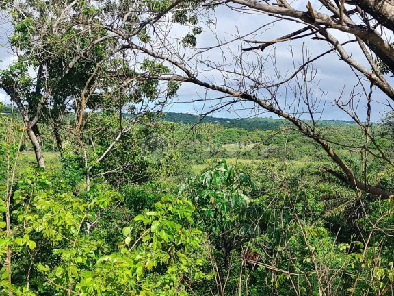 Imagem Terreno à Venda, 551 m² em Cotovelo (distrito Litoral) - Parnamirim Imagem Terreno à Venda, 551 m² em Cotovelo (distrito Litoral) - Parnamirim