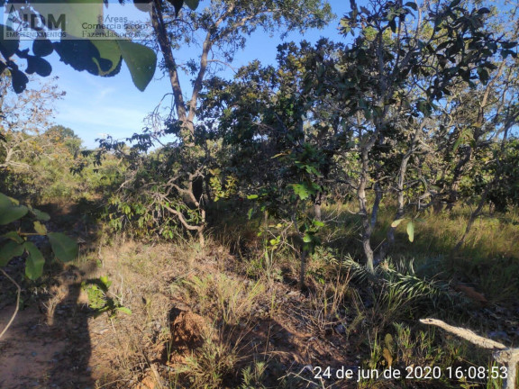 Imagem Chácara à Venda, 49.500.000 m² em Centro - Buritizeiro Imagem Chácara à Venda, 49.500.000 m² em Centro - Buritizeiro