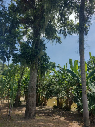 Fazenda à Venda,  em Rio Das Pedras - Paranagua