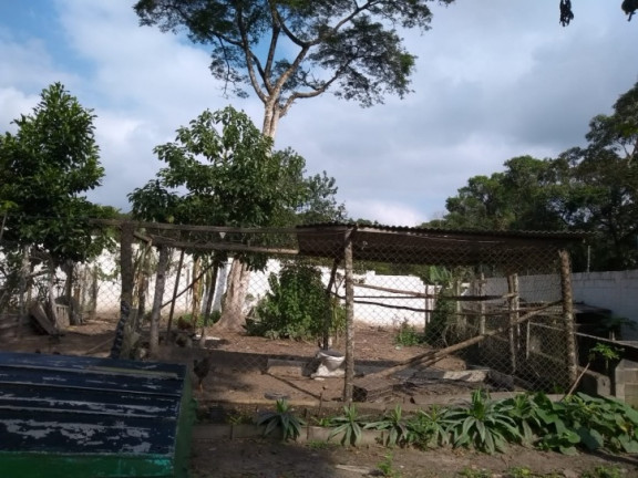 Imagem Chácara com 4 Quartos à Venda, 200 m² em Jd. Umuarama - Itanhaém Imagem Chácara com 4 Quartos à Venda, 200 m² em Jd. Umuarama - Itanhaém