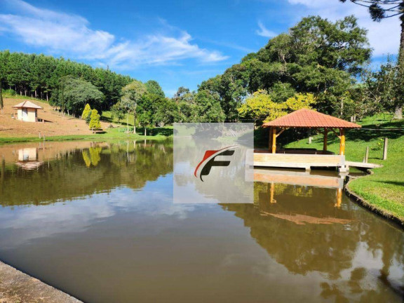 Imagem Chácara com 3 Quartos à Venda, 305.000 m² em Zona Rural - Tijucas Do Sul