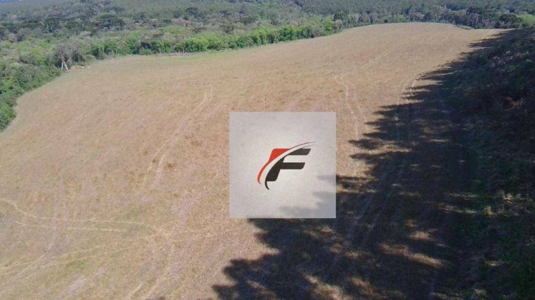 Imagem Chácara com 3 Quartos à Venda, 242.000 m² em Centro - Lapa