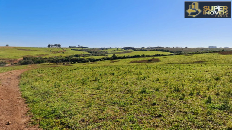 Imagem Imóvel à Venda, 1.880.000 m² em área Rural De Bagé - Bagé Imagem Imóvel à Venda, 1.880.000 m² em área Rural De Bagé - Bagé