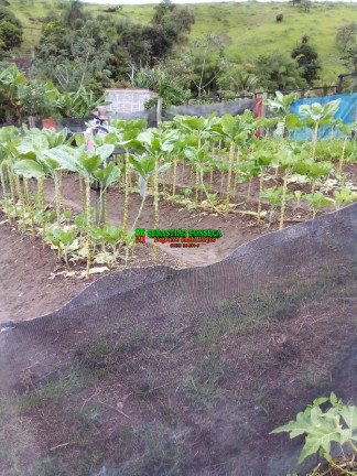 Imagem Chácara à Venda, 20.000 m² em São Silvestre (são Silvestre) - Jacareí Imagem Chácara à Venda, 20.000 m² em São Silvestre (são Silvestre) - Jacareí
