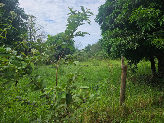 Imagem Chácara à Venda, 2 m² em Arapongas Imagem Chácara à Venda, 2 m² em Arapongas