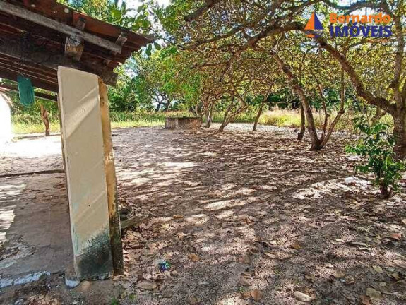 Imagem Chácara à Venda, 15 m² em Tijucussú - Cascavel Imagem Chácara à Venda, 15 m² em Tijucussú - Cascavel