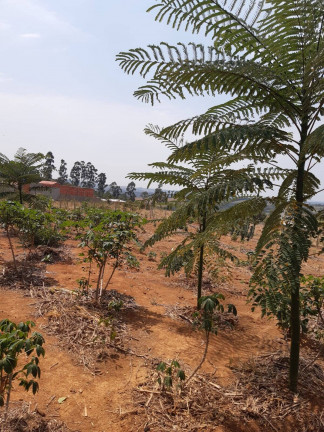 Imagem Chácara com 2 Quartos à Venda, 2.000 m² em Chácaras Residenciais Santa Maria - Votorantim Imagem Chácara com 2 Quartos à Venda, 2.000 m² em Chácaras Residenciais Santa Maria - Votorantim