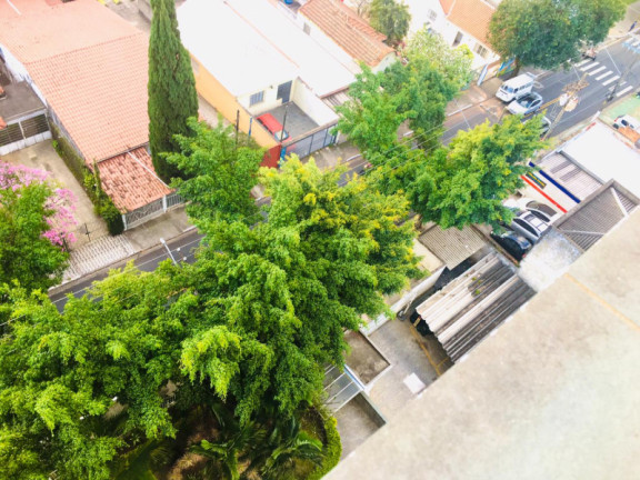 Imagem Apartamento com 3 Quartos à Venda, 67 m² em Vila Mazzei - São Paulo