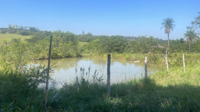 Imagem Imóvel com 3 Quartos à Venda, 45.000 m² em Rio Verde - Bauru