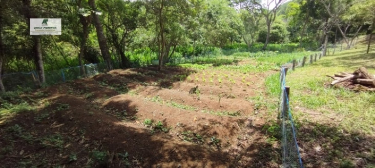 Imagem Fazenda à Venda, 5.000 m² em Alto Da Serra - São Roque