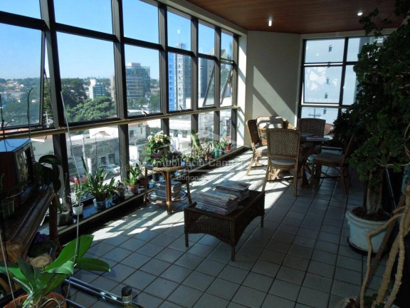 Imagem Apartamento com 4 Quartos à Venda, 568 m² em Cambuí - Campinas